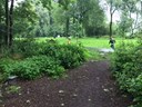 FB_IMG_1594318560444