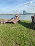 InShot_20210223_160849381