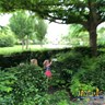 IMG_20210619_184127_154