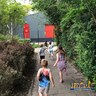 IMG_20210619_184126_836