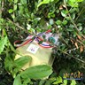IMG_20210619_184126_928